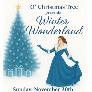 Winter Wonderland Event-VIP Seating